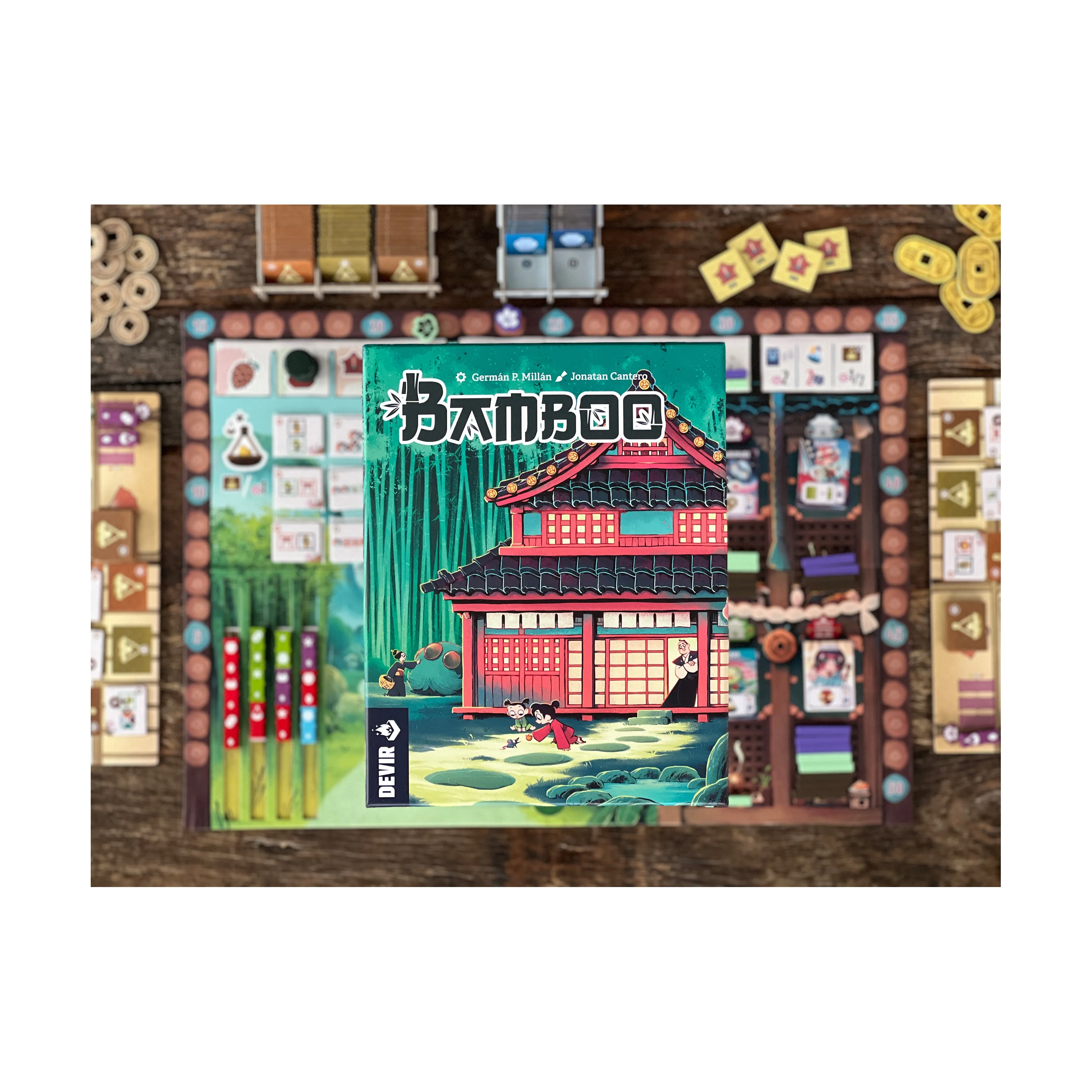 Bamboo