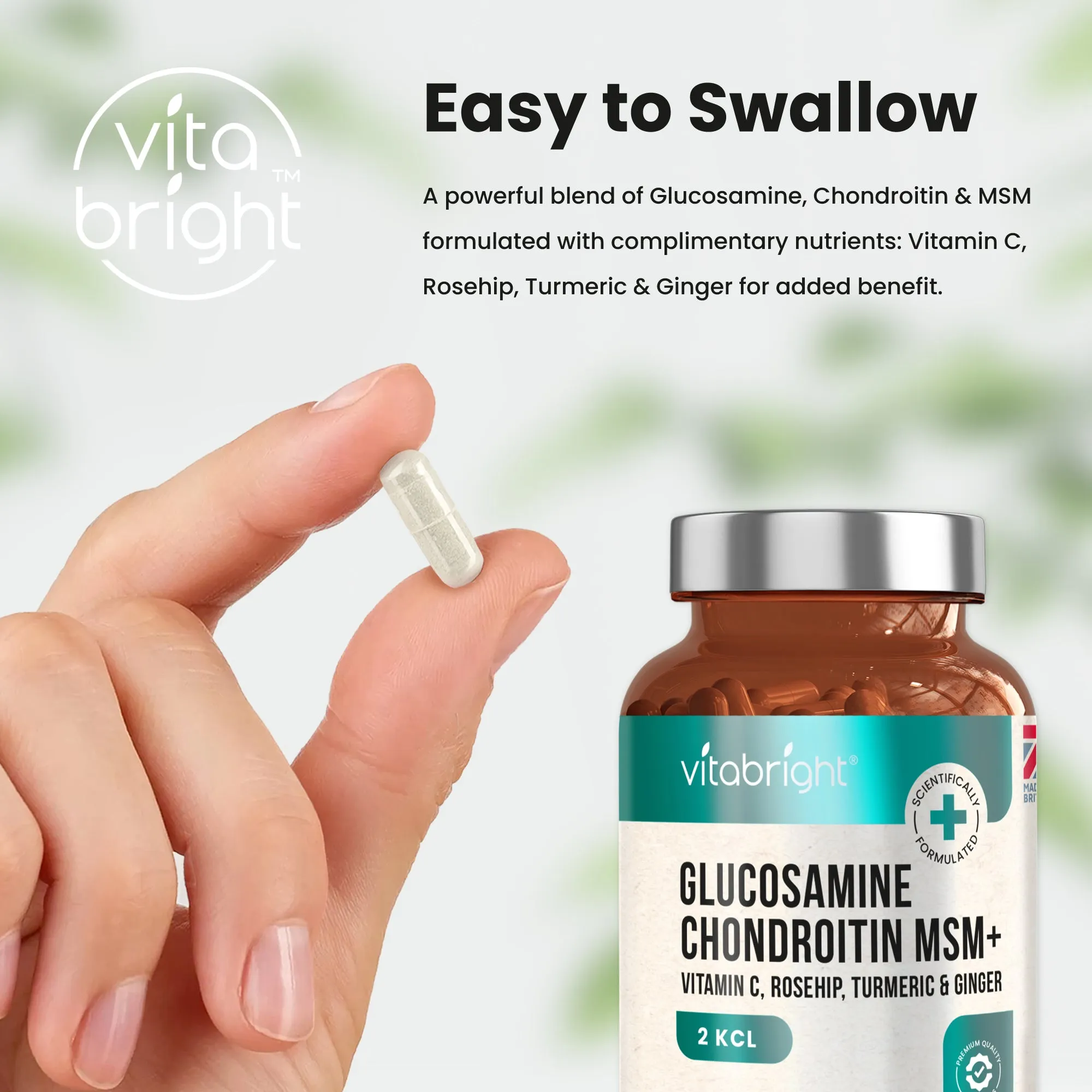 Glucosamine Chondroitin MSM Complex