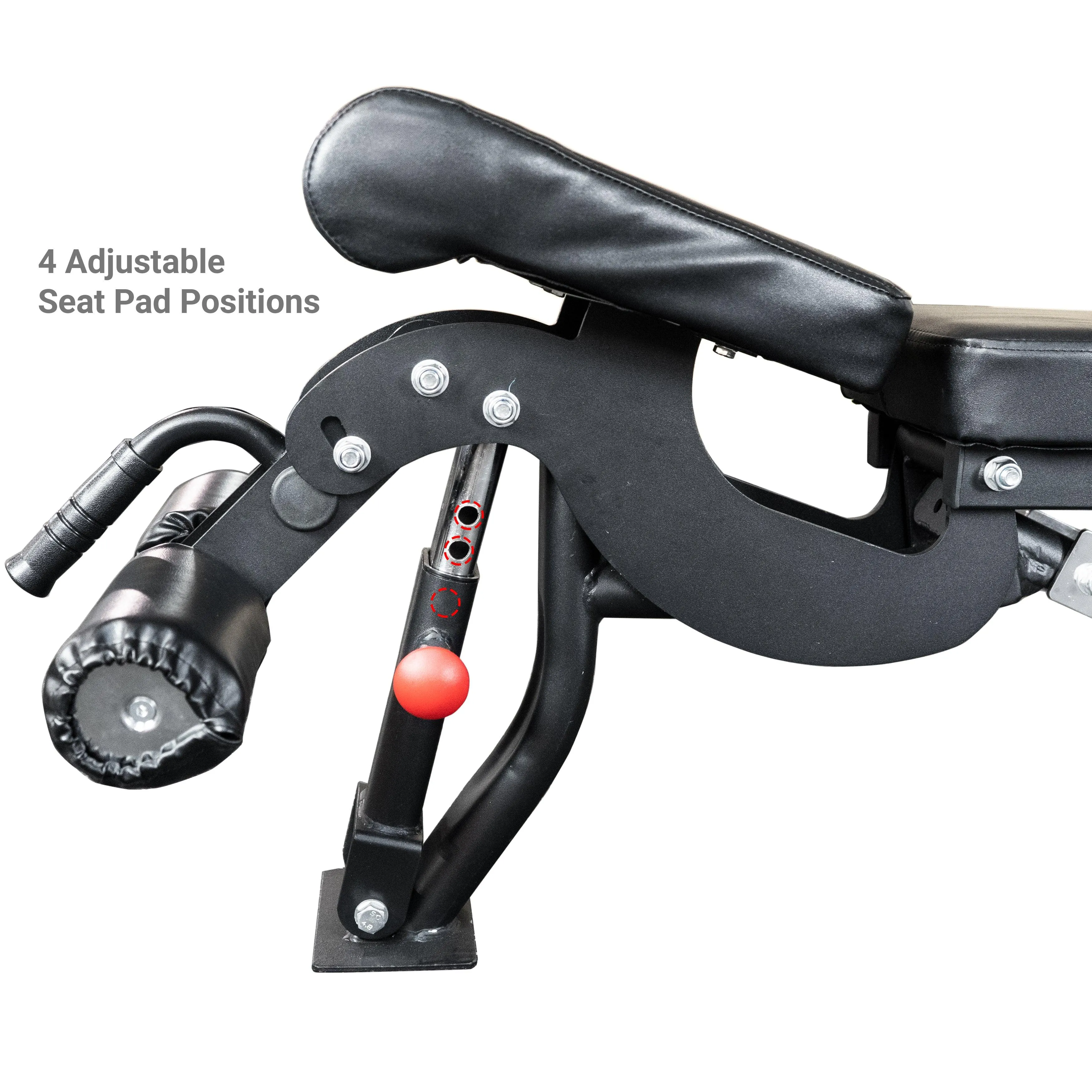 Heavy Duty Flat - Incline - Decline Weight Bench