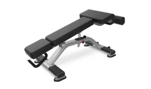 New 2024 Nautilus Inspiration Adjustable Decline Bench